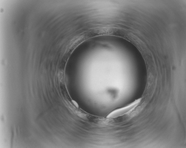 X0000060260096200511010924