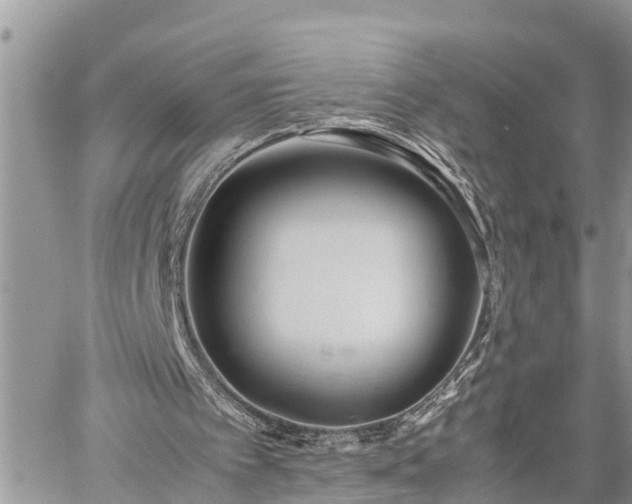 X0000060260097200511010923