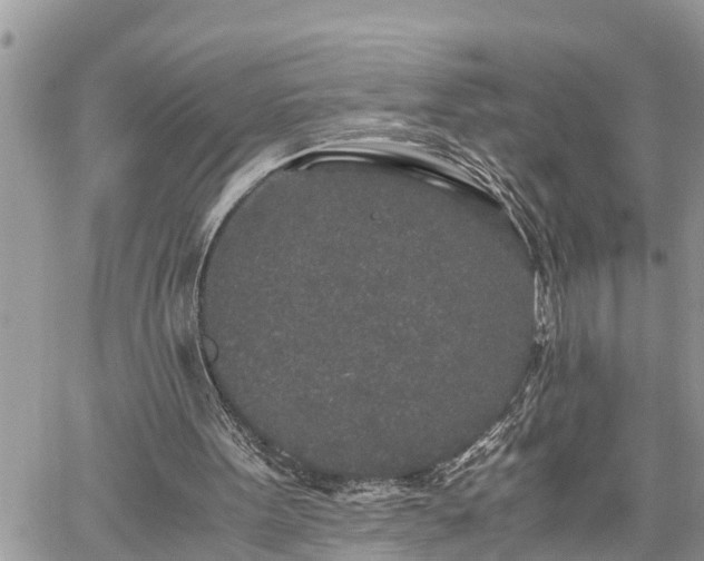 X0000060260099200511010923