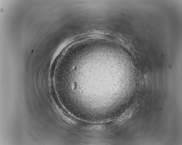 X0000060260102200511010923