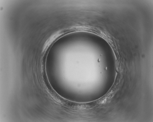 X0000060260103200511010923