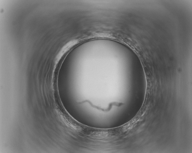 X0000060260104200511010923