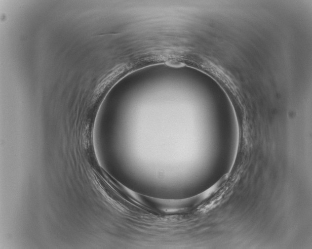 X0000060260105200511010923