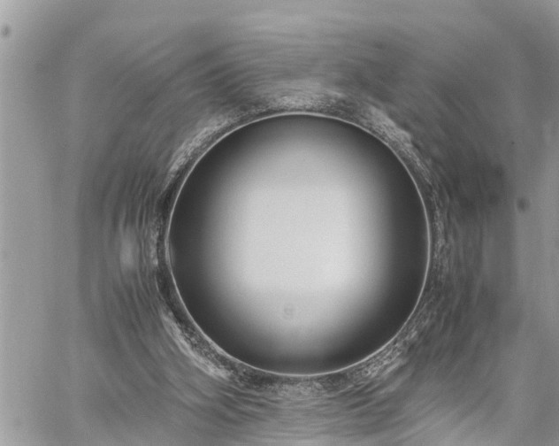 X0000060260106200511010923