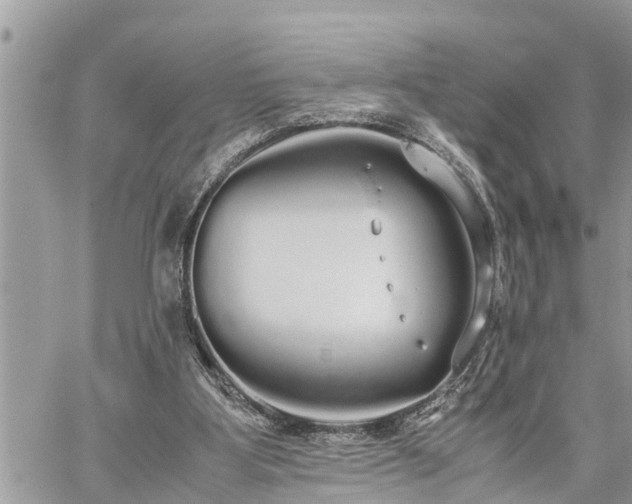 X0000060260107200511010923