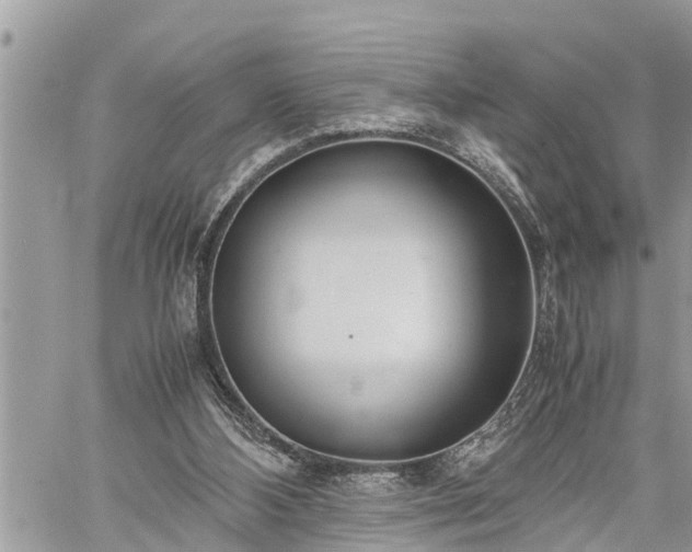 X0000060260108200511010923