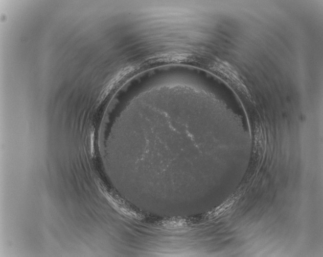 X0000060260110200511010923