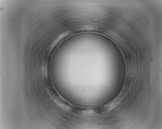 X0000060260112200511010923