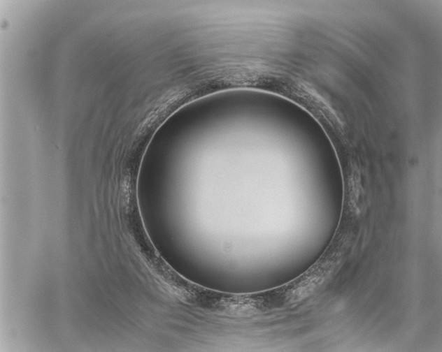 X0000060260113200511010923