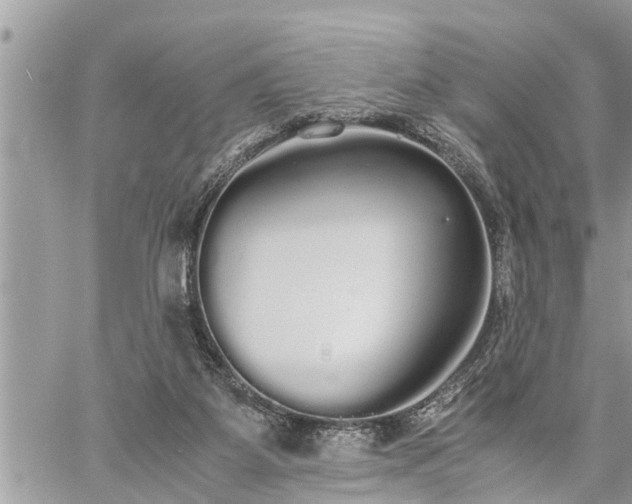 X0000060260115200511010923