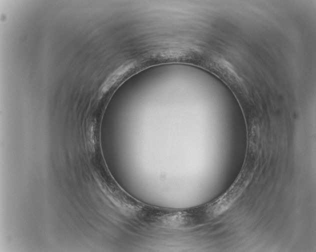 X0000060260116200511010923