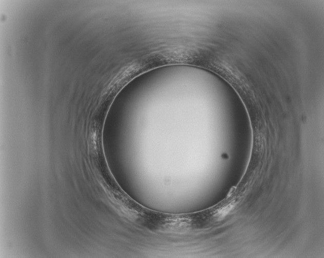 X0000060260117200511010923