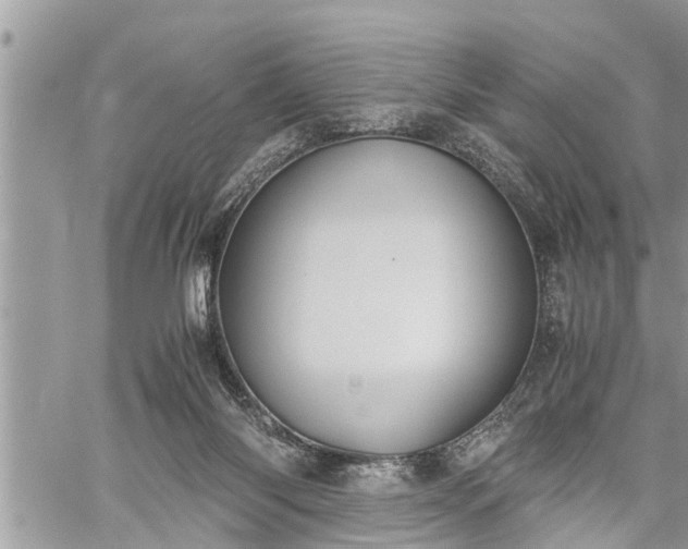 X0000060260118200511010923