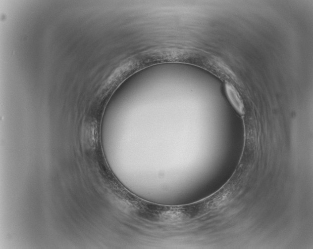 X0000060260119200511010923