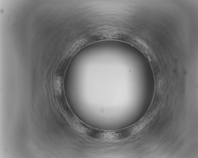 X0000060260121200511010923