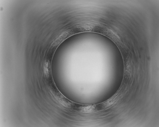 X0000060260122200511010923