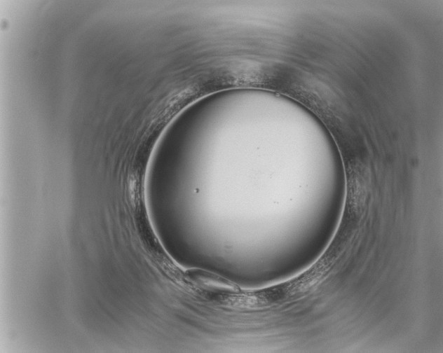 X0000060260123200511010923