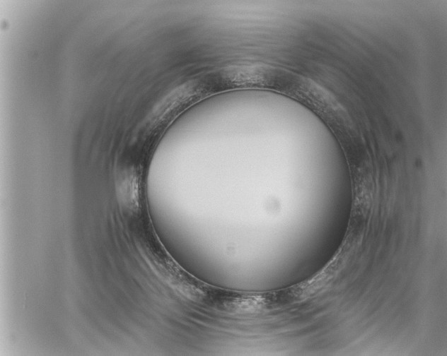 X0000060260124200511010923