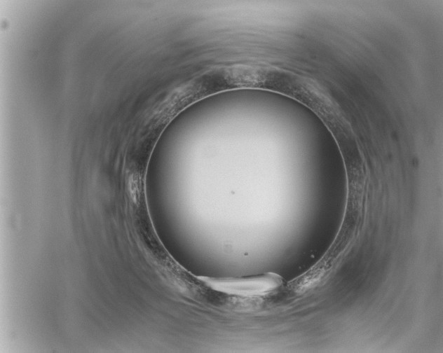 X0000060260125200511010923