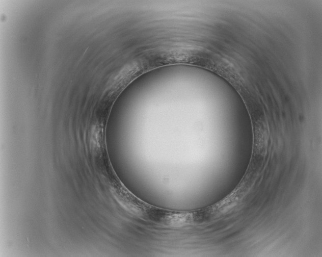 X0000060260126200511010923