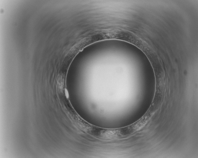 X0000060260129200511010923