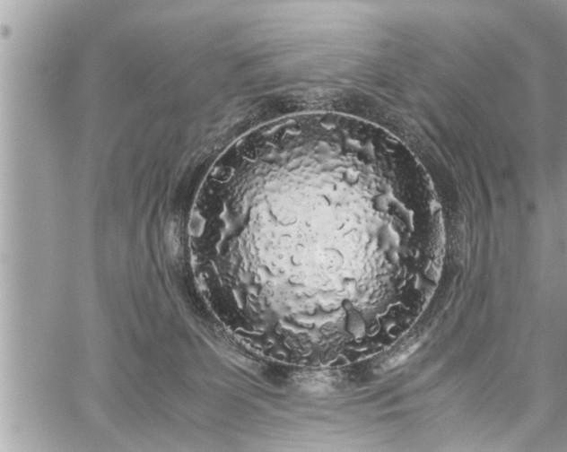 X0000060260131200511010923