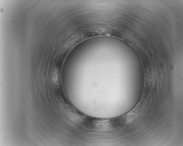 X0000060260132200511010923