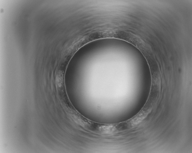 X0000060260133200511010923