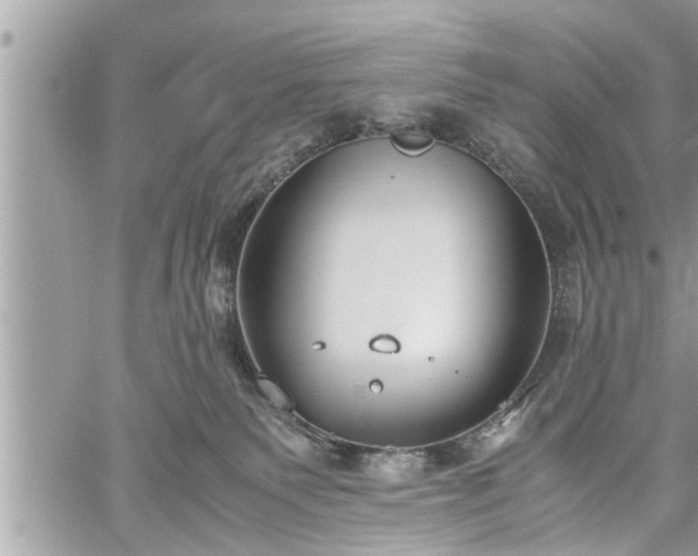 X0000060260135200511010923