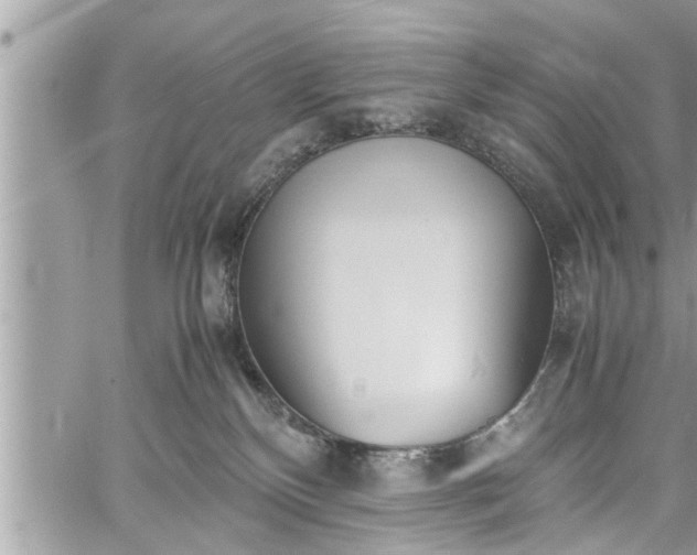 X0000060260136200511010923