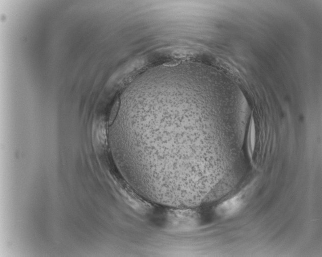 X0000060260137200511010923