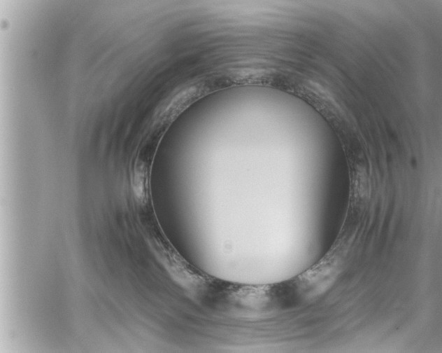 X0000060260138200511010922