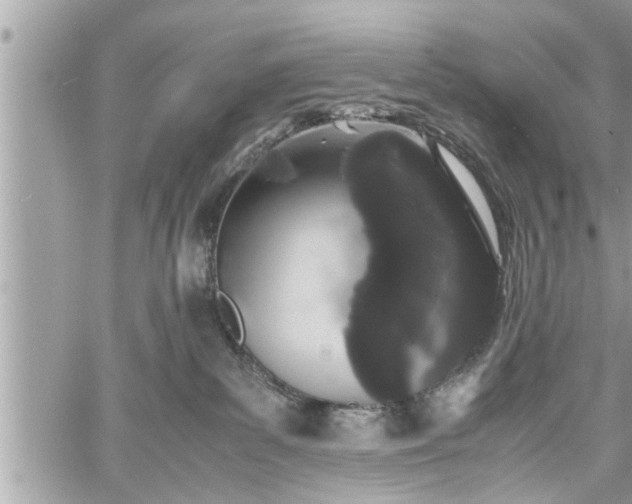 X0000060260139200511010922