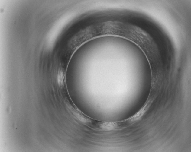 X0000060260142200511010922