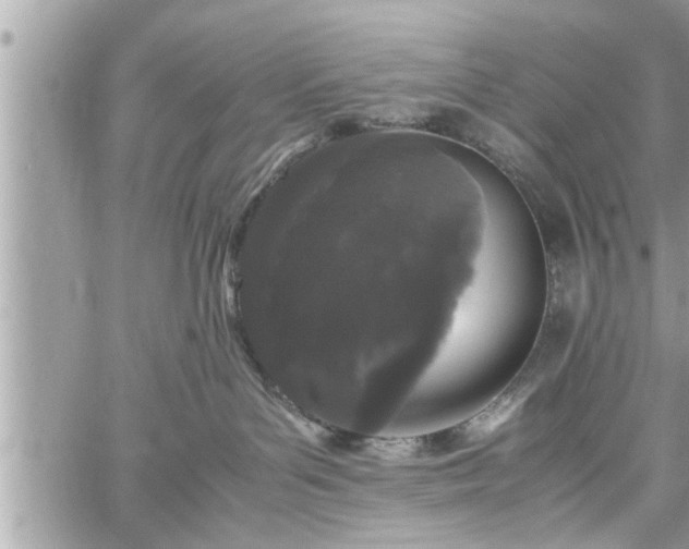 X0000060260143200511010922