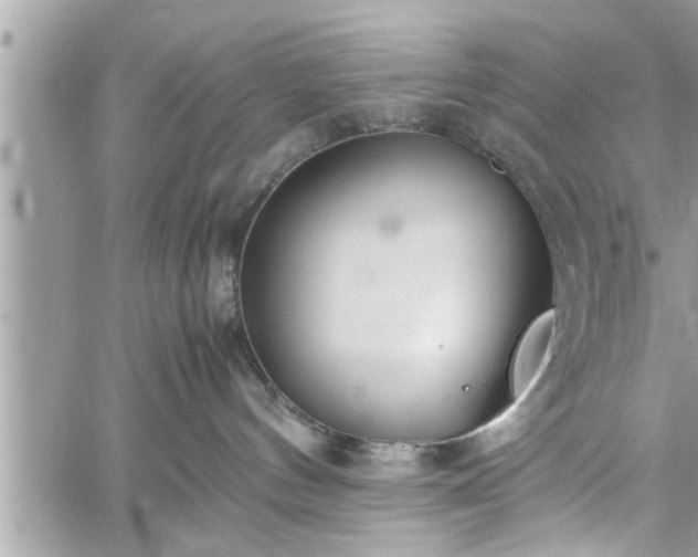 X0000060260144200511010922