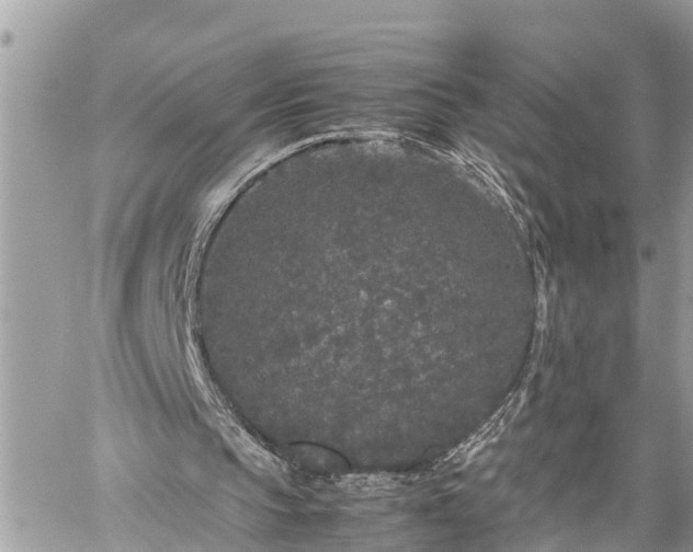 X0000060260145200511010922