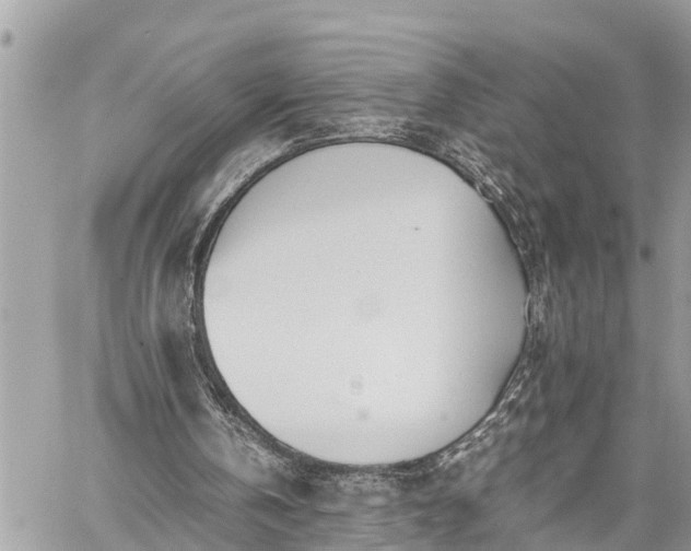 X0000060260146200511010922