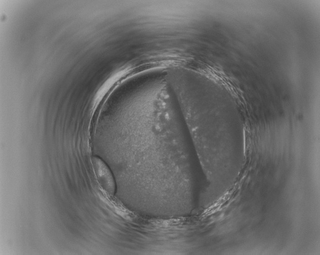 X0000060260147200511010922