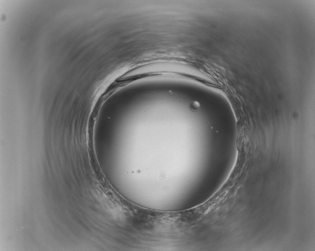 X0000060260148200511010922