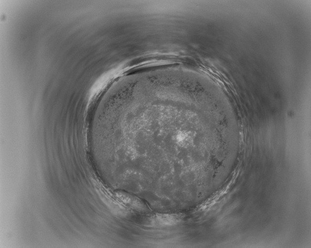 X0000060260149200511010922