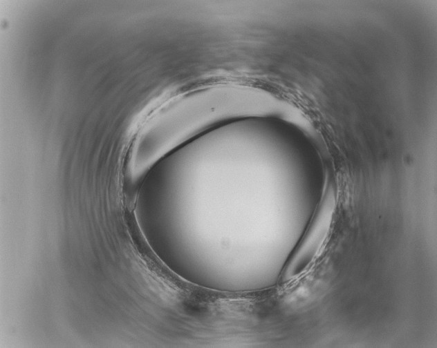 X0000060260150200511010922