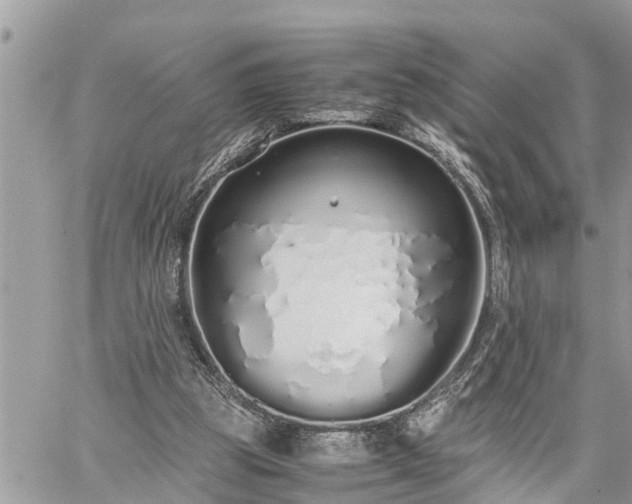 X0000060260153200511010922