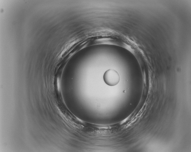 X0000060260154200511010922