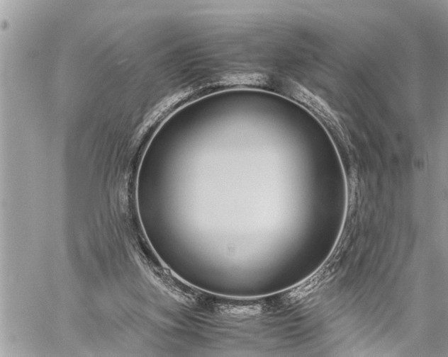 X0000060260155200511010922