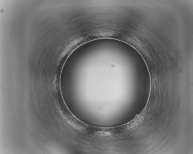 X0000060260159200511010922