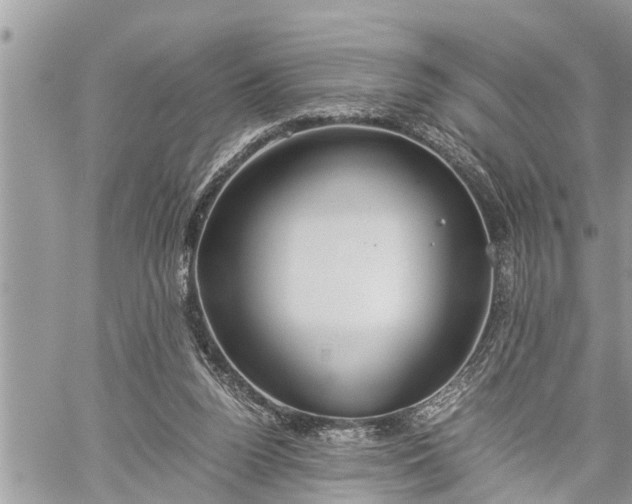 X0000060260160200511010922