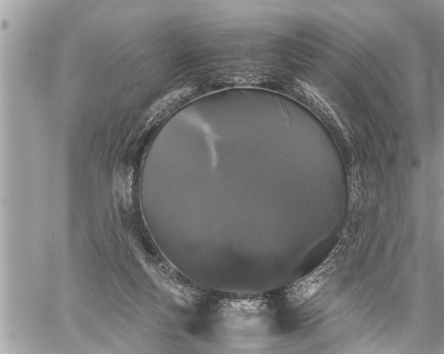 X0000060260163200511010922