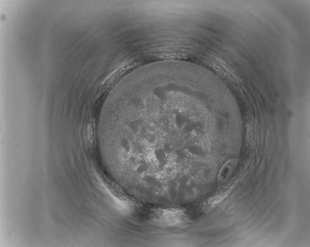 X0000060260165200511010922