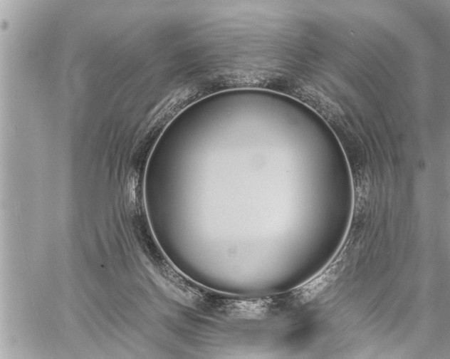 X0000060260166200511010922